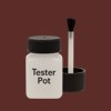 Pantone 1817 Paint Tester Pot