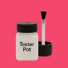 Pantone 191 Paint Tester Pot