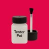 Pantone 1925 Paint Tester Pot