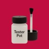 Pantone 193 Paint Tester Pot