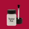 Pantone 1945 Paint Tester Pot
