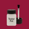 Pantone 1955 Paint Tester Pot