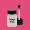 Pantone 205 Paint Tester Pot