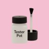 Pantone 217 Paint Tester Pot
