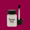 Pantone 221 Paint Tester Pot