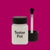 Pantone 227 Paint Tester Pot