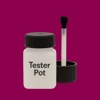 Pantone 228 Paint Tester Pot