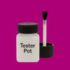 Pantone 241 Paint Tester Pot