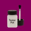 Pantone 2425 Paint Tester Pot