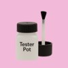 Pantone 243 Paint Tester Pot