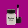 Pantone 248 Paint Tester Pot