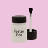 Pantone 250 Paint Tester Pot