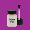 Pantone 254 Paint Tester Pot