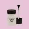Pantone 256 Paint Tester Pot