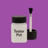 Pantone 2583 Paint Tester Pot