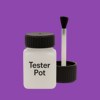 Pantone 2587 Paint Tester Pot