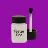 Pantone 2592 Paint Tester Pot