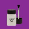 Pantone 2593 Paint Tester Pot