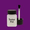 Pantone 2613 Paint Tester Pot