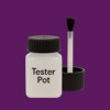 Pantone 2623 Paint Tester Pot