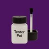 Pantone 2627 Paint Tester Pot