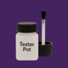 Pantone 2695 Paint Tester Pot