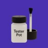 Pantone 2736 Paint Tester Pot