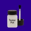 Pantone 2738 Paint Tester Pot