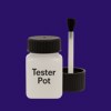 Pantone 274 Paint Tester Pot