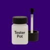 Pantone 2755 Paint Tester Pot