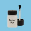 Pantone 297 Paint Tester Pot