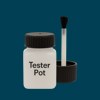Pantone 303 Paint Tester Pot