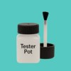 Pantone 325 Paint Tester Pot