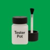 Pantone 355 Paint Tester Pot