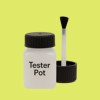 Pantone 379 Paint Tester Pot