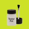 Pantone 381 Paint Tester Pot