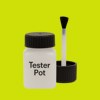 Pantone 389 Paint Tester Pot