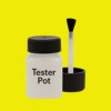 Pantone 3945 Paint Tester Pot