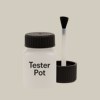 Pantone 420 Paint Tester Pot