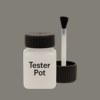 Pantone 424 Paint Tester Pot