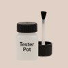 Pantone 434 Paint Tester Pot