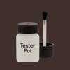 Pantone 440 Paint Tester Pot