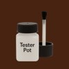 Pantone 4625 Paint Tester Pot