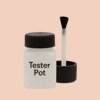 Pantone 489 Paint Tester Pot