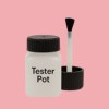 Pantone 494 Paint Tester Pot