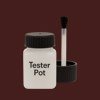 Pantone 4975 Paint Tester Pot