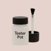 Pantone 5245 Paint Tester Pot