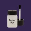 Pantone 5255 Paint Tester Pot