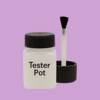 Pantone 529 Paint Tester Pot