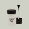 Pantone 5527 Paint Tester Pot